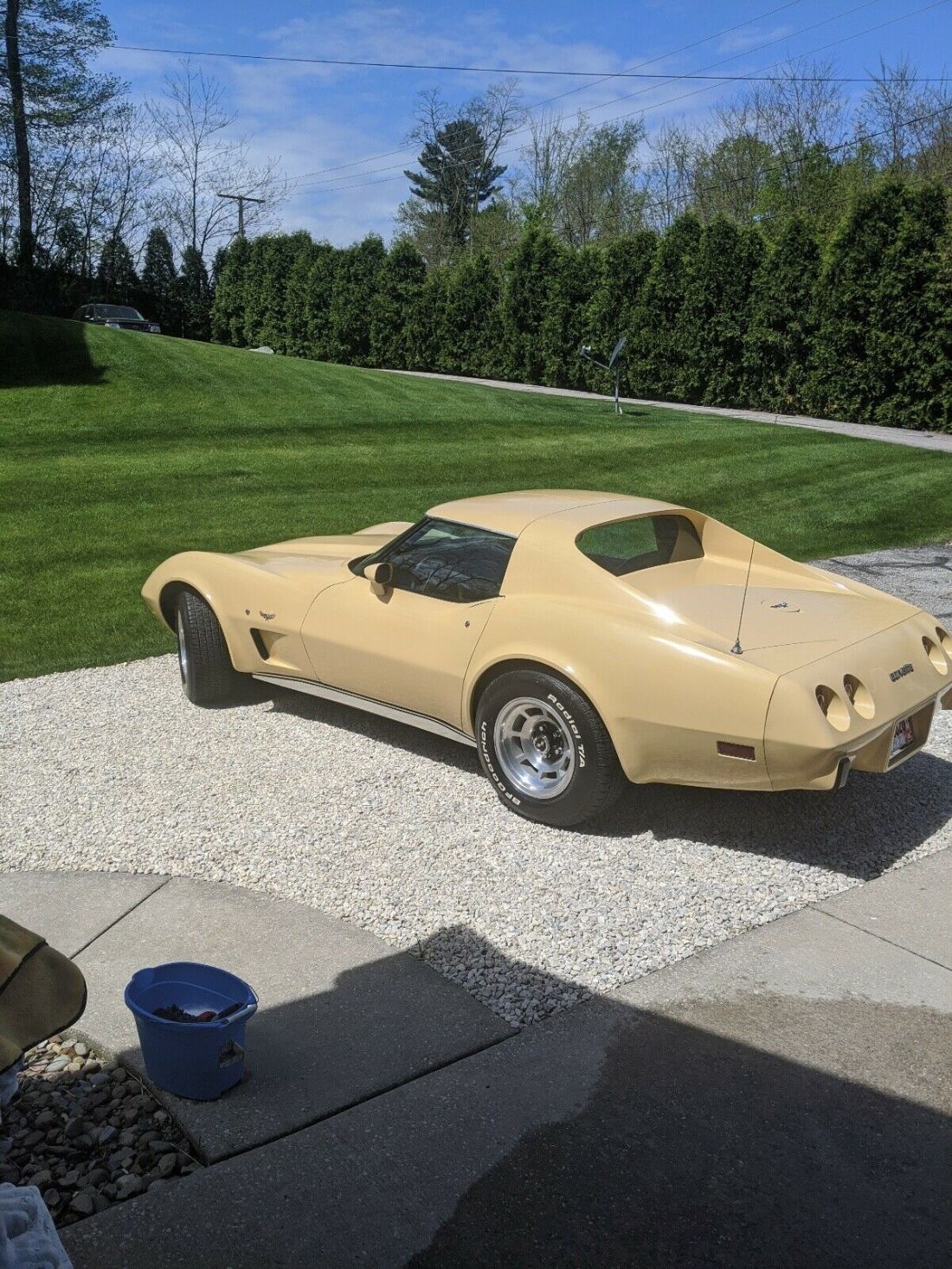 1977 Chevrolet Corvette - photo 6