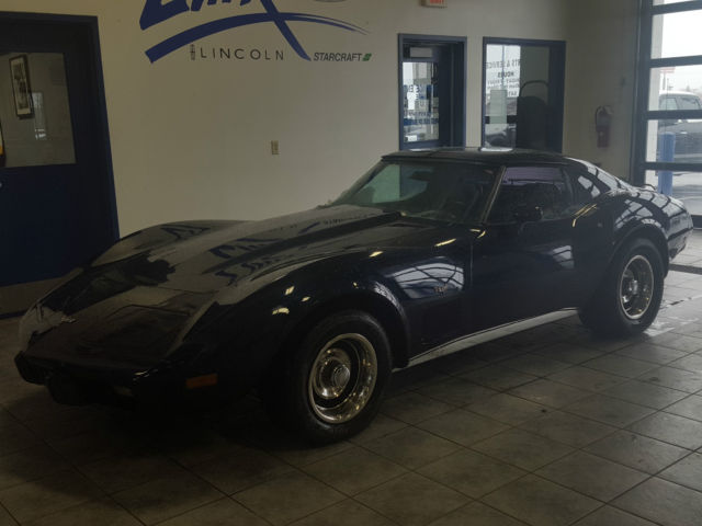 1977 Chevrolet Corvette Coupe 2-door - photo 10