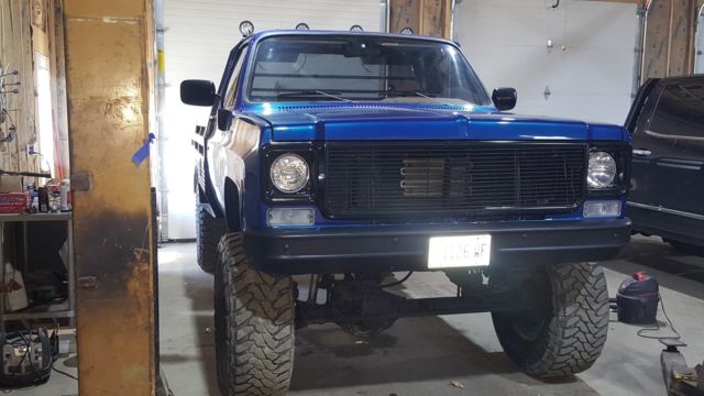 1977 Chevrolet Other Pickups - photo 4