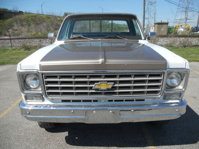 1977 Chevrolet C/K Pickup 1500 - photo 3