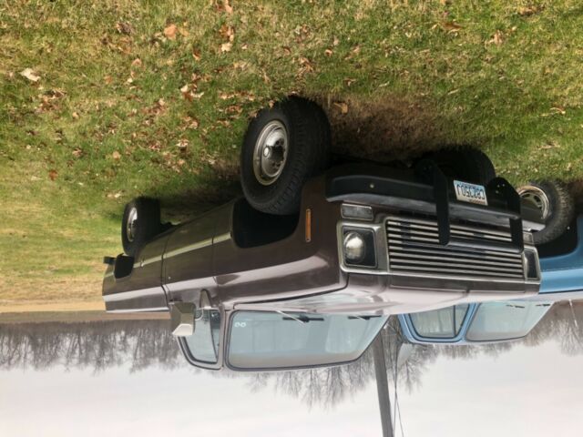 1977 Chevrolet C/K Pickup 2500 - photo 3