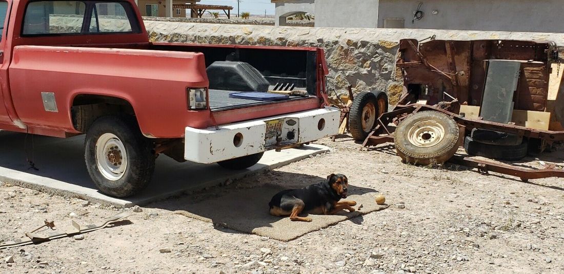 1977 Chevrolet k20 - photo 3