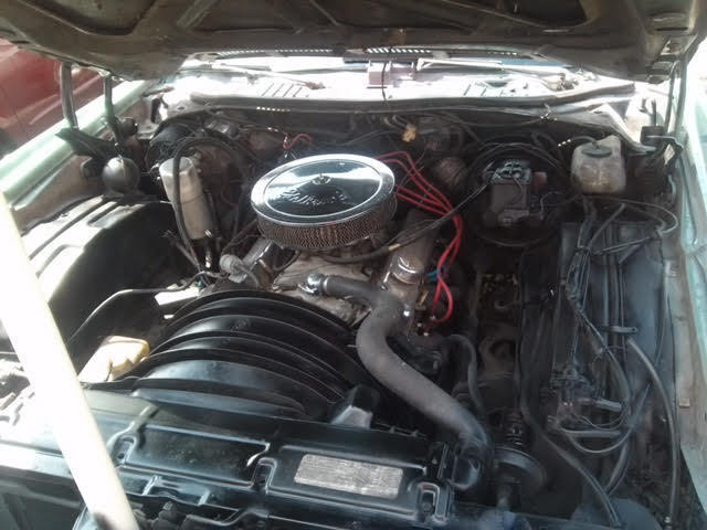1977 Chevrolet Monte Carlo - photo 4