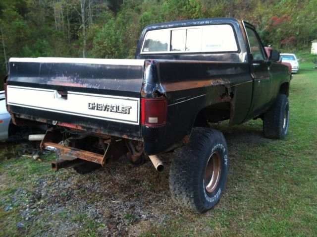 1977 Chevrolet Other Pickups - photo 5