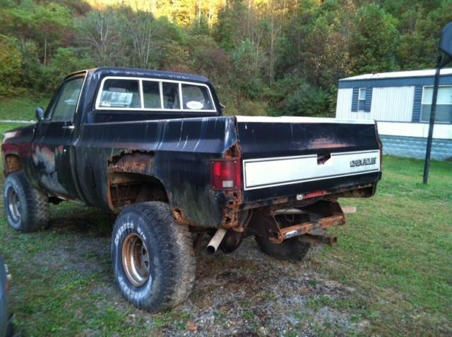 1977 Chevrolet Other Pickups - photo 11