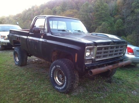 1977 Chevrolet Other Pickups - photo 2