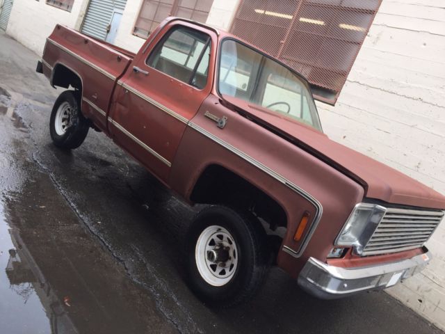 1977 Chevrolet C/K Pickup 1500 Scottsdale Bonanza - photo 10