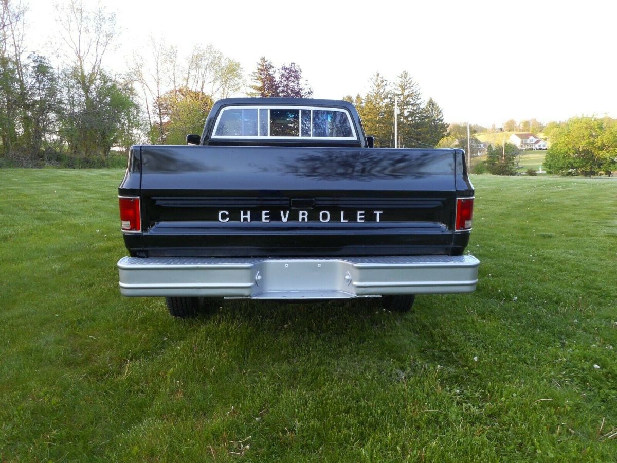 1977 Chevrolet C/K Pickup 2500 Scottsdale - photo 4