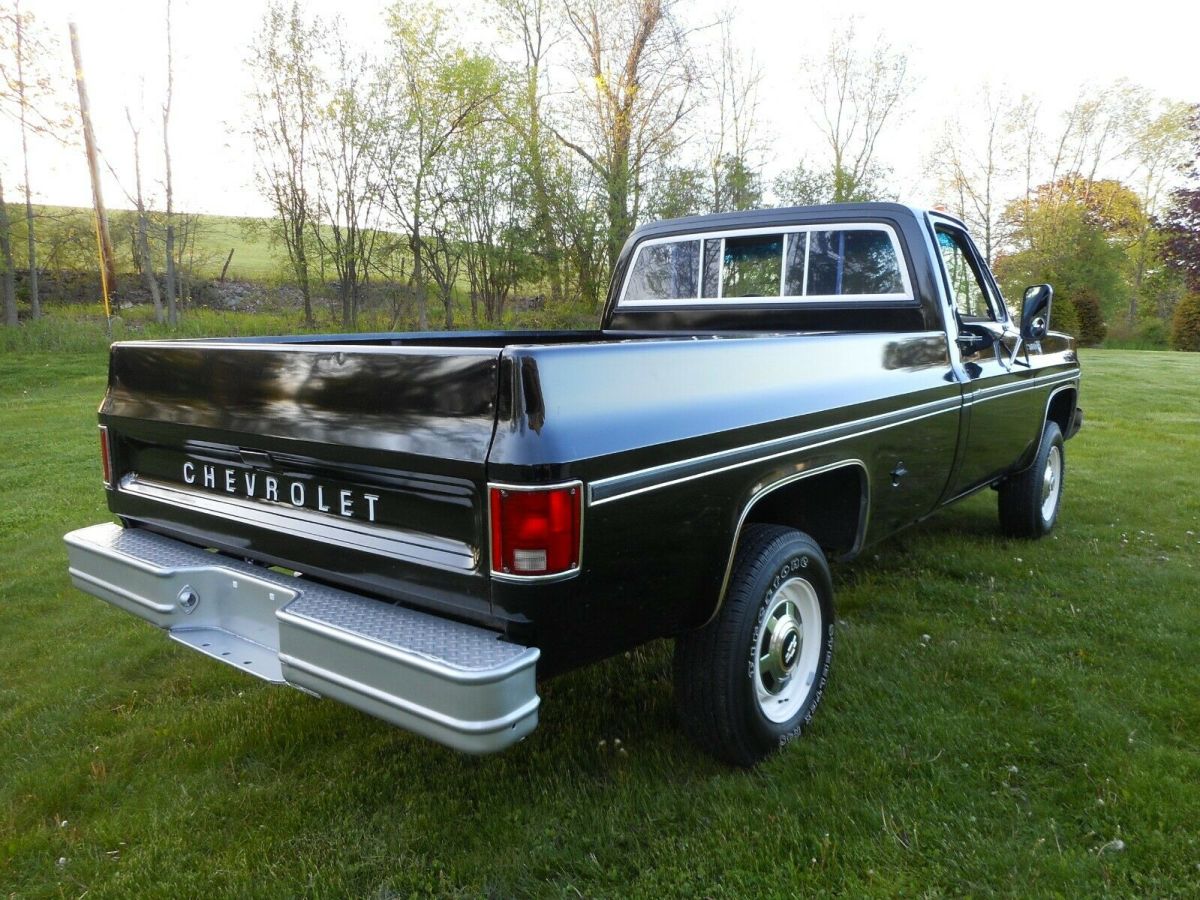 1977 Chevrolet C/K Pickup 2500 Scottsdale - photo 5