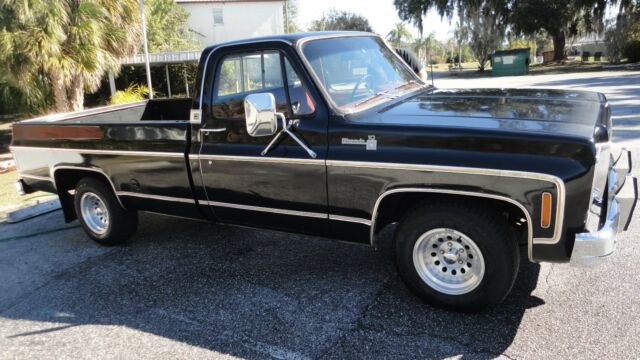 1977 Chevrolet Silverado 1500 SILVERADO - photo 11