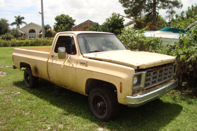 1977 Chevrolet C/K Pickup 1500 - photo 2