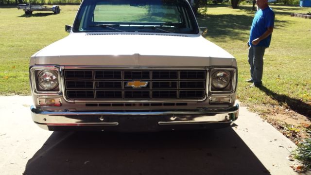 1977 Chevrolet Other Pickups cheyenne - photo 6