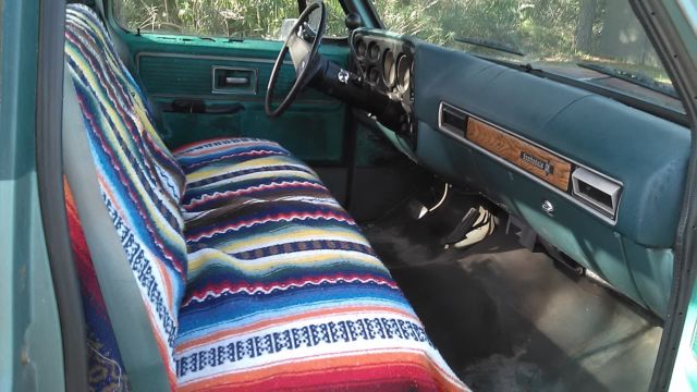 1977 Chevrolet C-10 scottsdale - photo 4