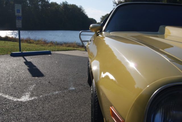 1977 Chevrolet Camaro Z28 BADGING - photo 9