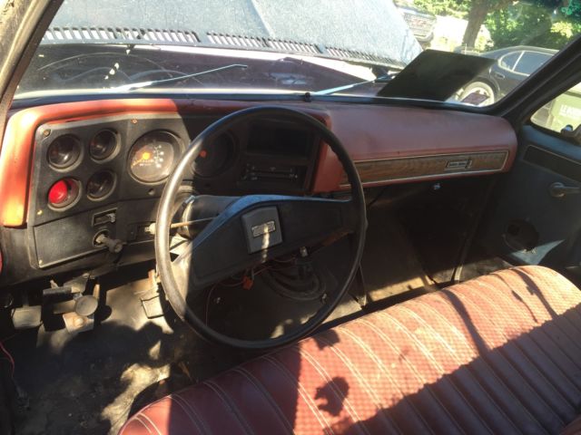 1977 Chevrolet Other Pickups - photo 9