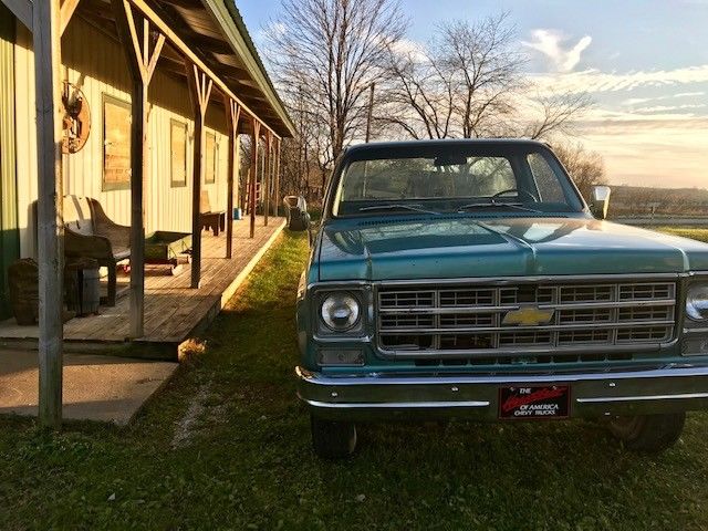 1977 Chevrolet C-10 BONANZA HD VIDEO 4x4 NO RESERVE! - photo 9
