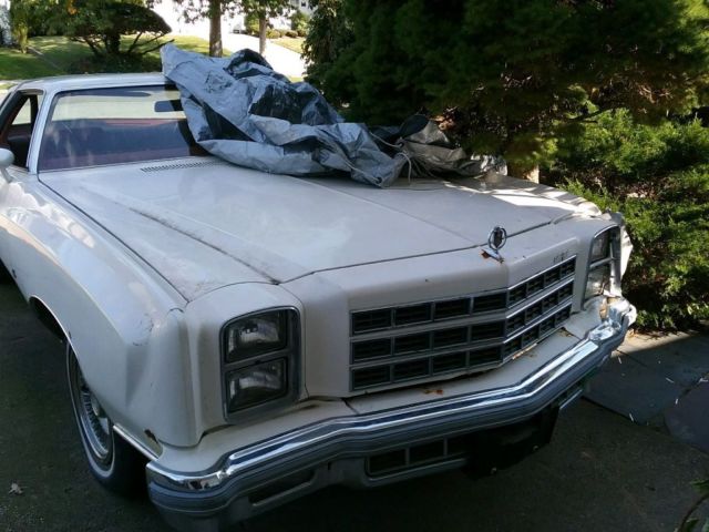 1977 Chevrolet Monte Carlo Whit3 - photo 3