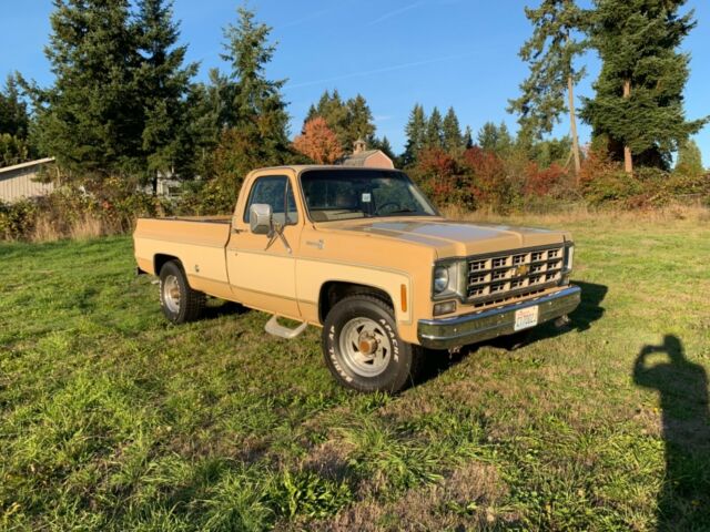 1977 Chevrolet C/K Pickup 2500 Camper Special