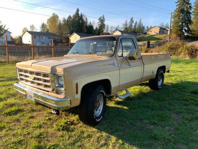 1977 Chevrolet C/K Pickup 2500 Camper Special - photo 11