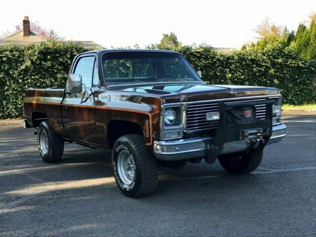 1977 Chevrolet C/K Pickup 1500 K10 SWB - photo 6