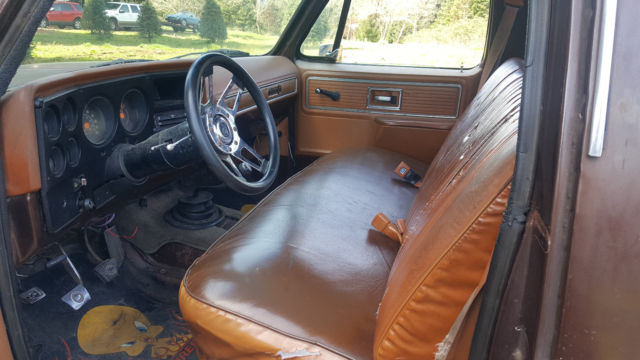 1977 Chevrolet Other Pickups - photo 8