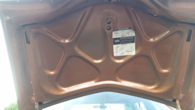 1977 Chrysler LeBaron Medallion - photo 12
