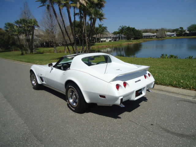 1977 CORVETTE -GORGEOUS - BEAUTIFUL CAR - 74,054 MILES- LOOKS JUST AMAZING 1977 Chevrolet Corvette WHITE