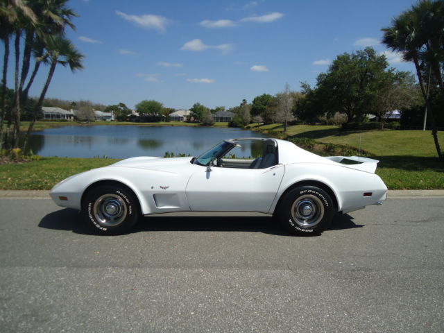 1977 Chevrolet Corvette WHITE - photo 3