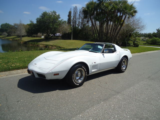 1977 Chevrolet Corvette WHITE - photo 5