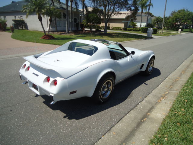 1977 Chevrolet Corvette WHITE - photo 8