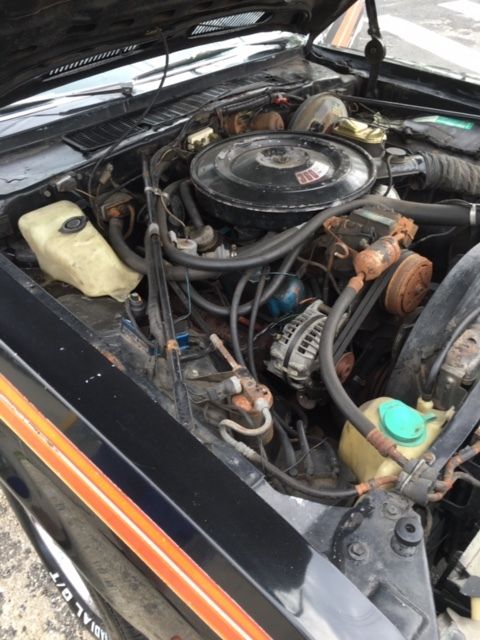 1977 Dodge Other Pickups - photo 13