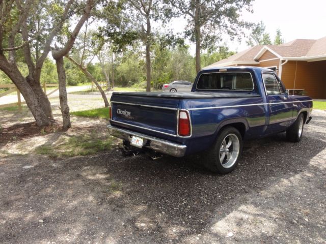 1977 Dodge Other Pickups Custom - photo 3