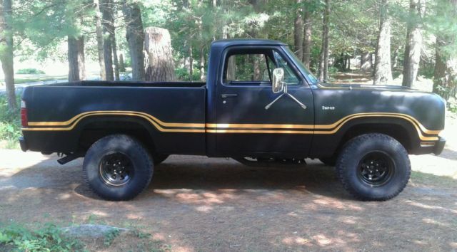 1977 Dodge Other Pickups W100 - photo 10