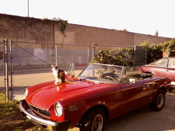 1977 fiat 124 plus big parts lot 1977 Fiat Other