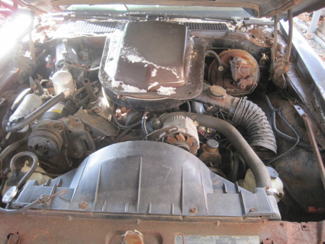 1977 Pontiac Trans Am TRANS AM 400  WS4 - photo 11
