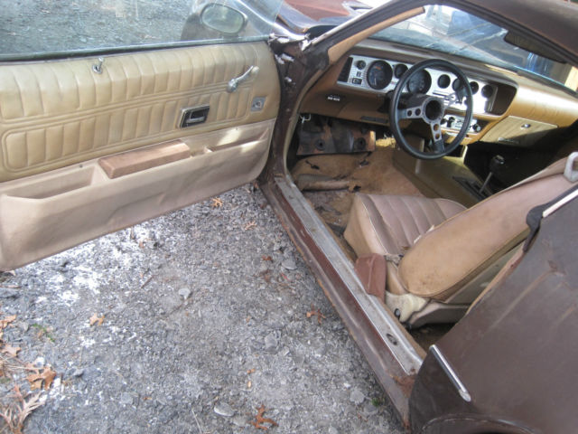 1977 Pontiac Trans Am TRANS AM 400  WS4 - photo 12