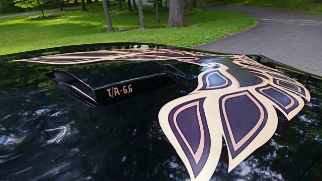 1977 Pontiac Firebird TRANS AM T/A Bandit - photo 13