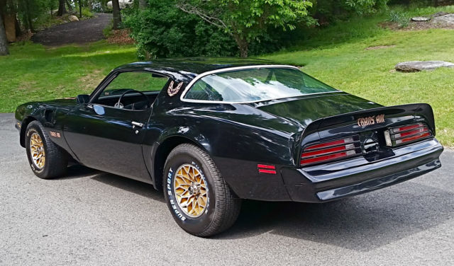 1977 Pontiac Firebird TRANS AM T/A Bandit - photo 6