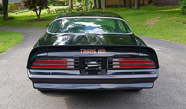 1977 Pontiac Firebird TRANS AM T/A Bandit - photo 7