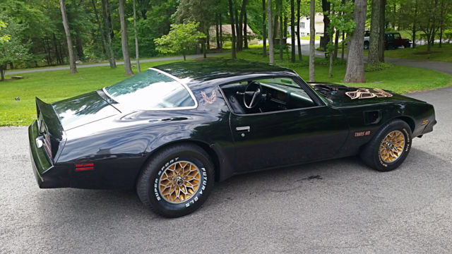1977 Pontiac Firebird TRANS AM T/A Bandit - photo 9