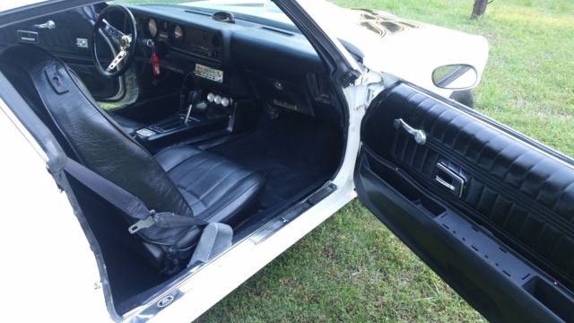 1977 Pontiac Firebird - photo 10