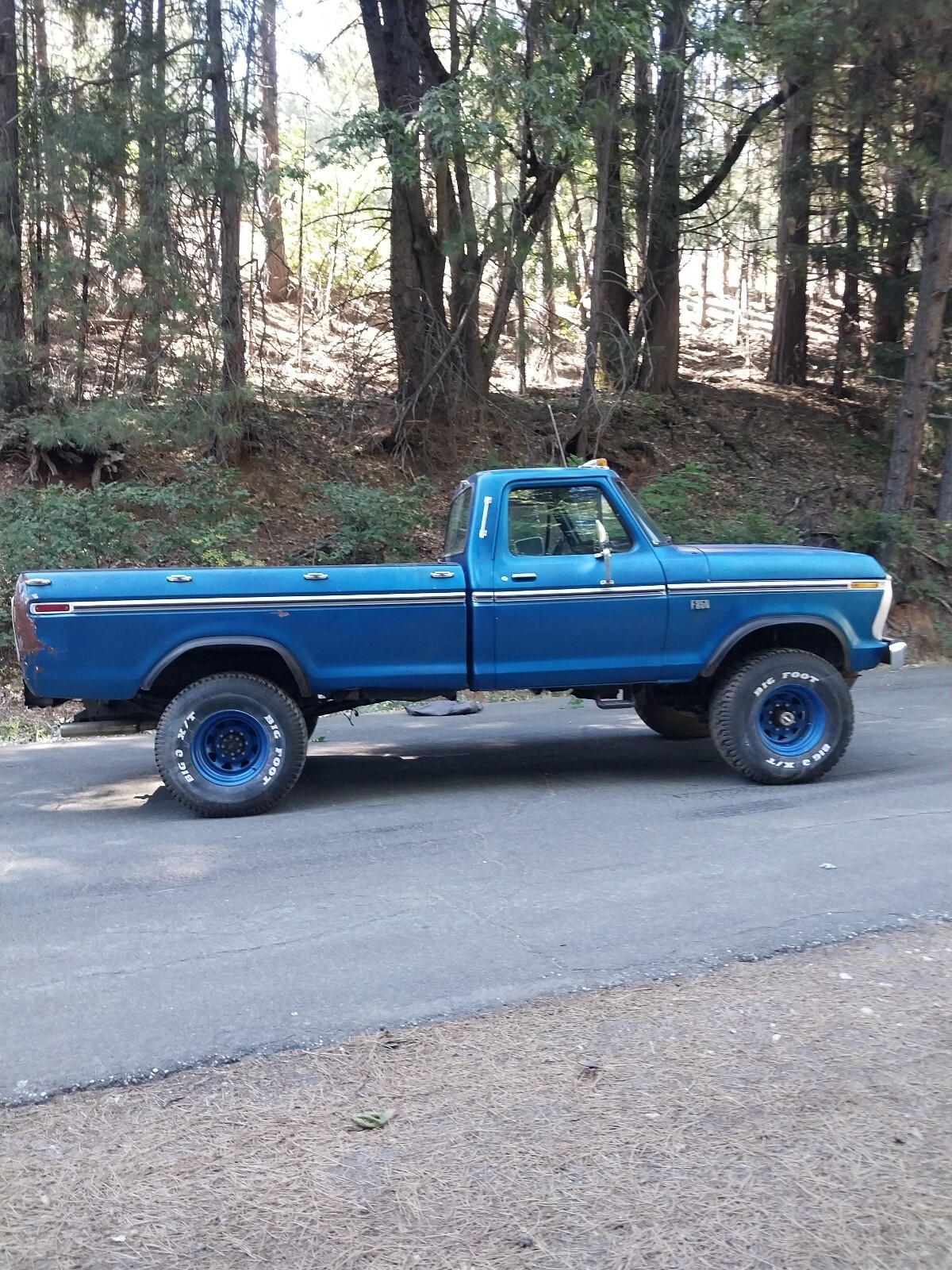 1977 Ford F250 custom - photo 11