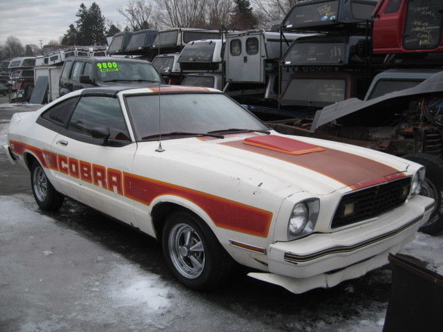 1977 Ford Mustang Cobra ll 1977 Ford Mustang Cobra ll