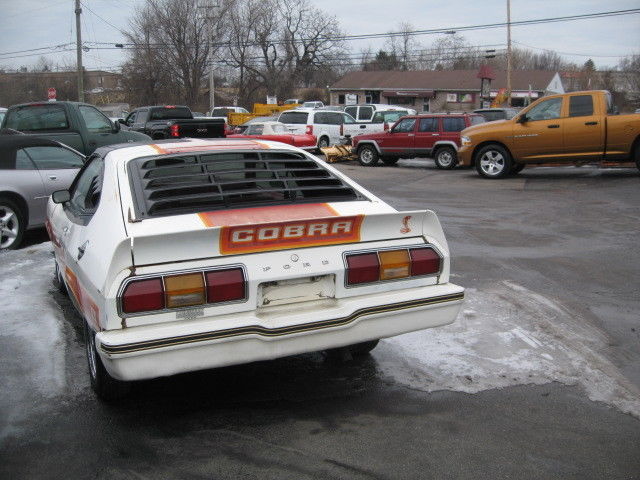 1977 Ford Mustang Cobra ll - photo 4