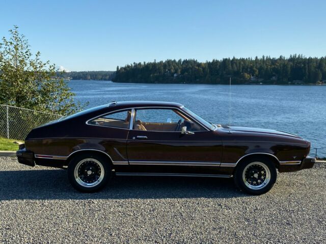 1977 Ford Mustang Fastback V8 TRUE GRANDMA CAR GARAGE FIND 1977 Ford Mustang