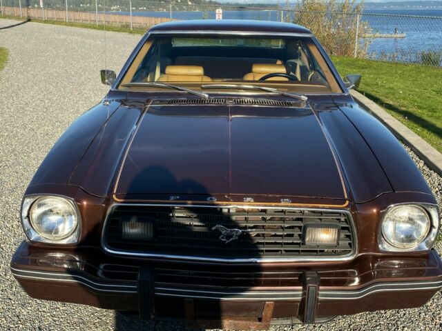 1977 Ford Mustang - photo 6
