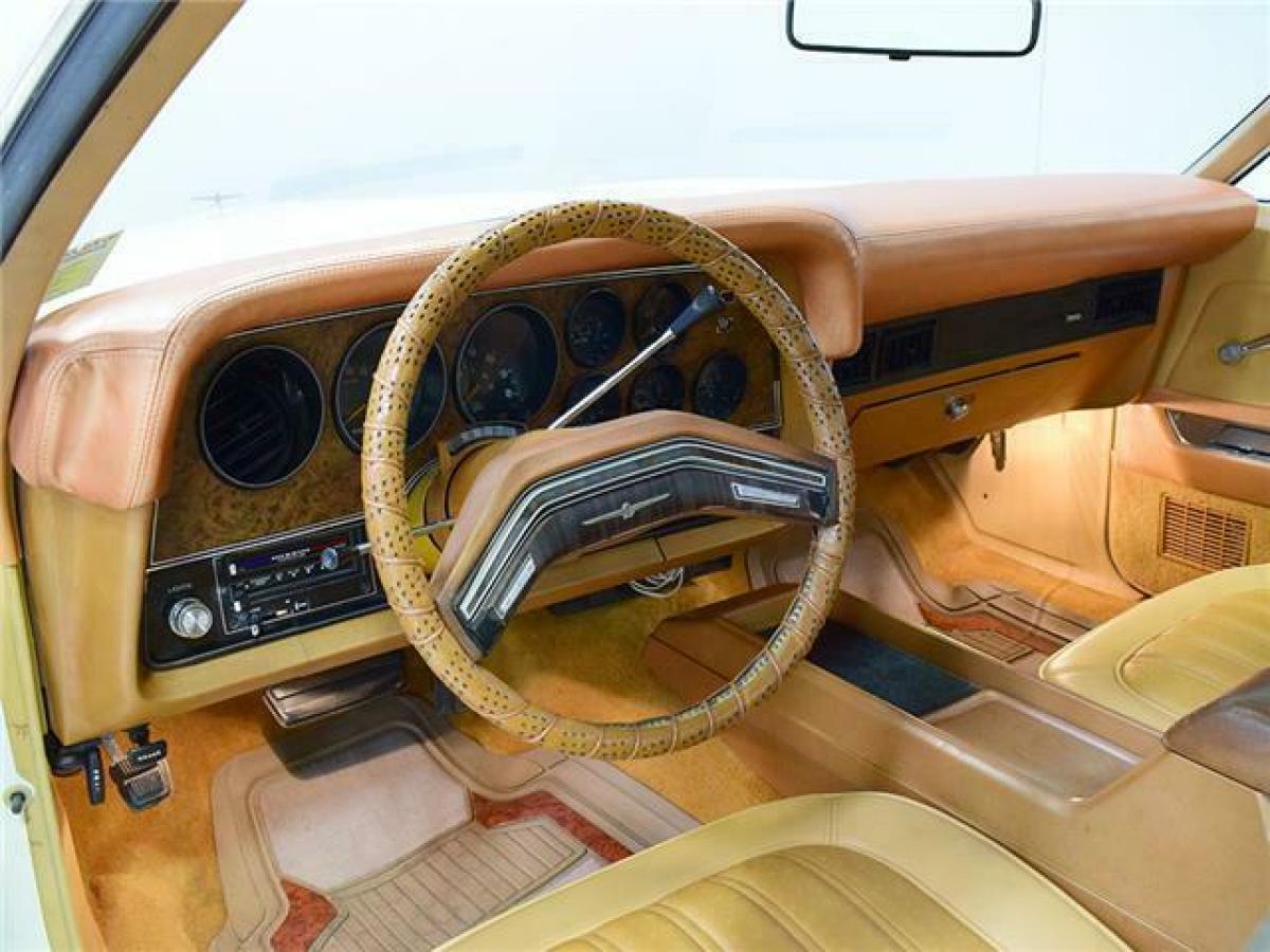1977 Ford Ranchero RanchBird - photo 8