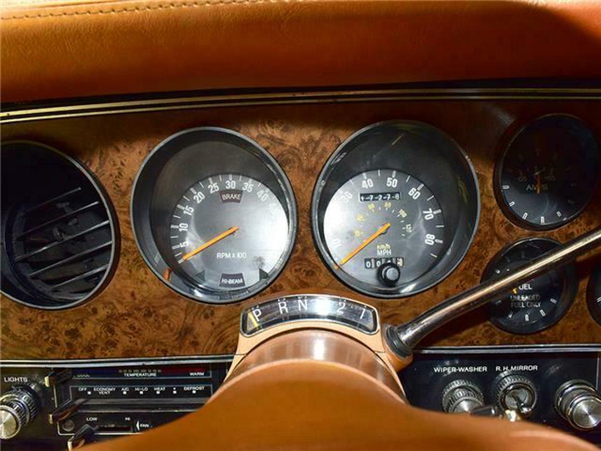 1977 Ford Ranchero RanchBird - photo 9