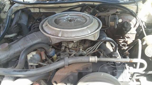 1977 Ford Thunderbird - photo 6