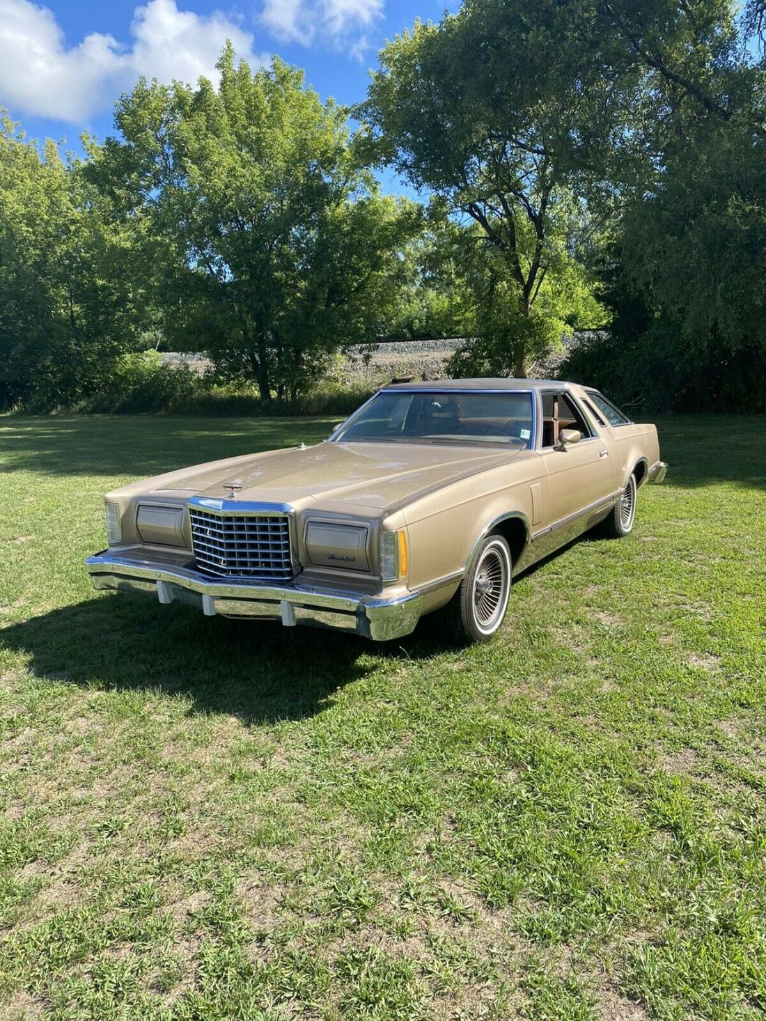 1977 Ford Thunderbird - photo 2